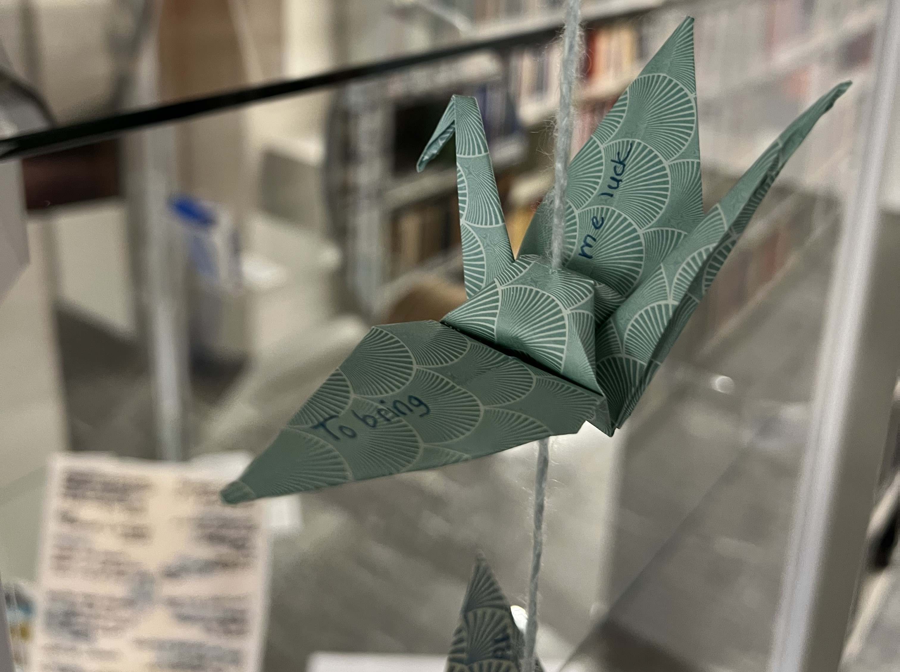 OdiliaMeeks_birds